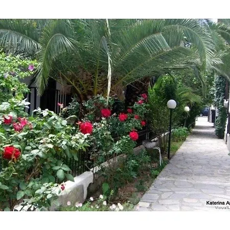 Katerina 公寓 佩科霍里